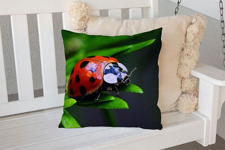 Декоративна подушка «Ladybug»