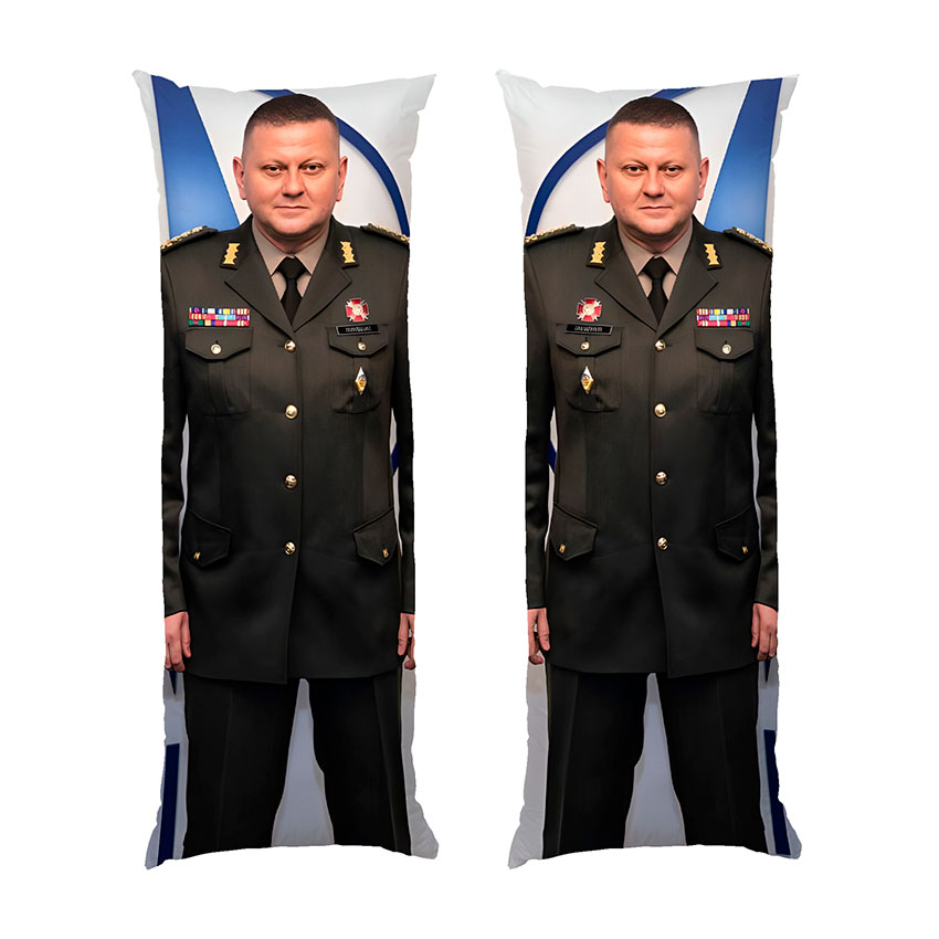 Валерій Залужний. Головнокомандувач ЗСУ