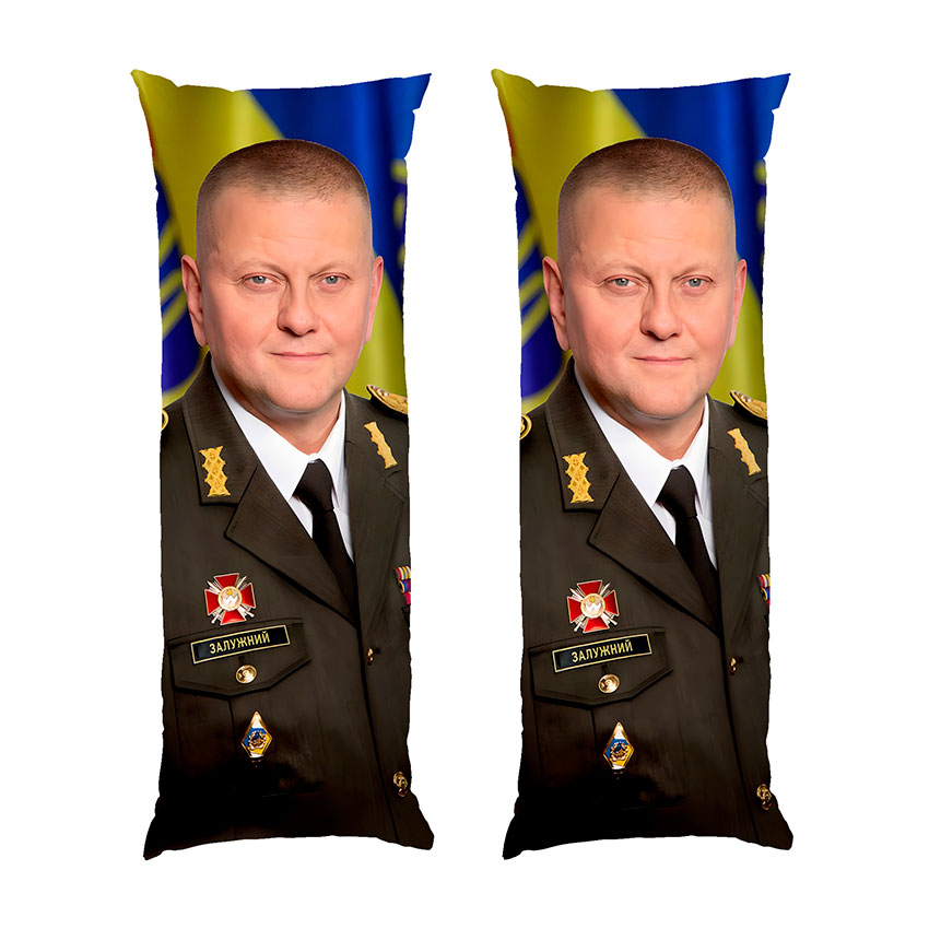 Валерій Залужний. Портрет