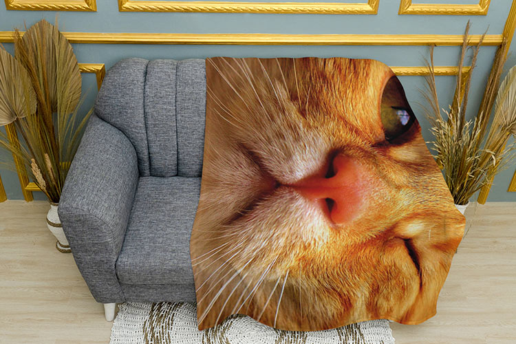 Рудий-кіт-підморгує.-Red-cat-winks