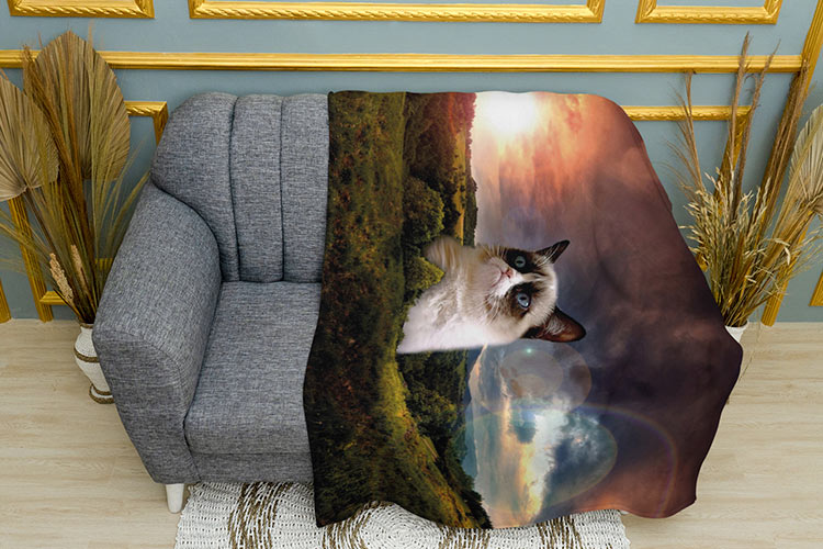 Великий-сварливий-Кіт.-Мем.-Big-grumpy-cat.-Mem