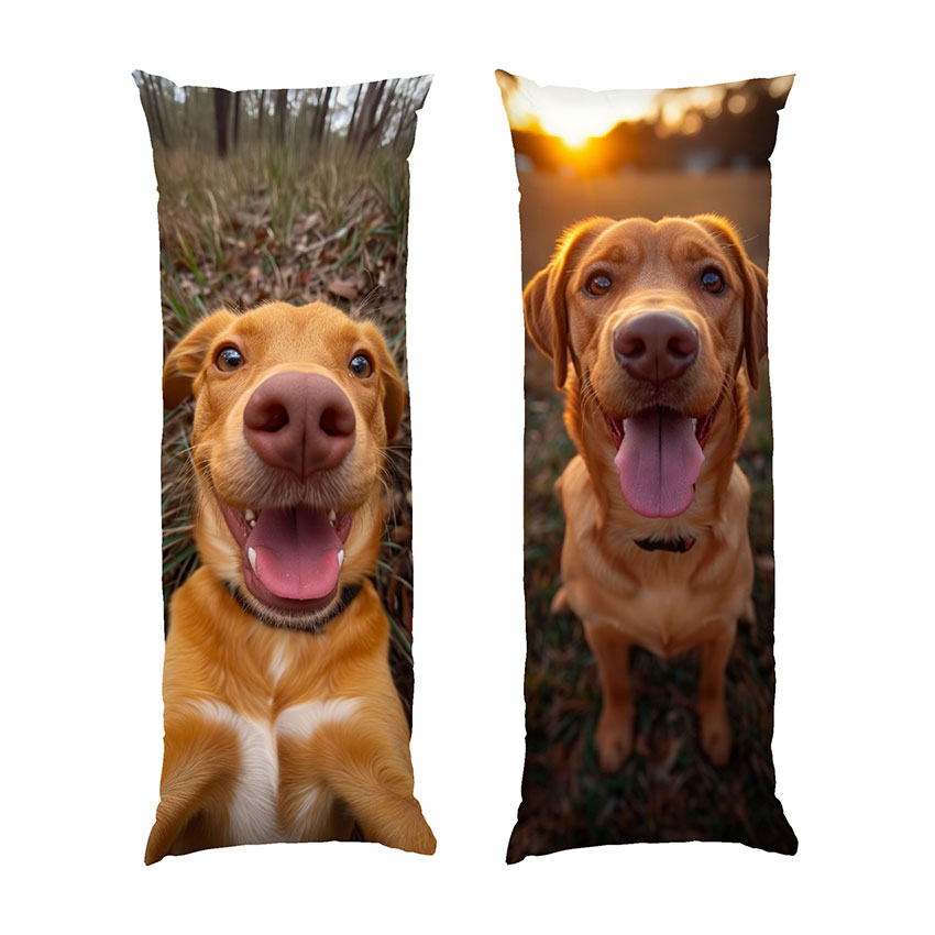 Угорська-вижла.-Собака.-Vizla-dog