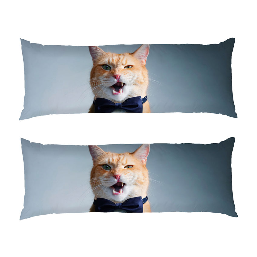 Кіт-з-краваткою-метелик.-Cat-with-a-bow-tie