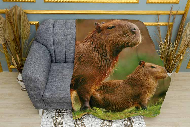 Плед «Дві милі капібари. Two cute capybaras»
