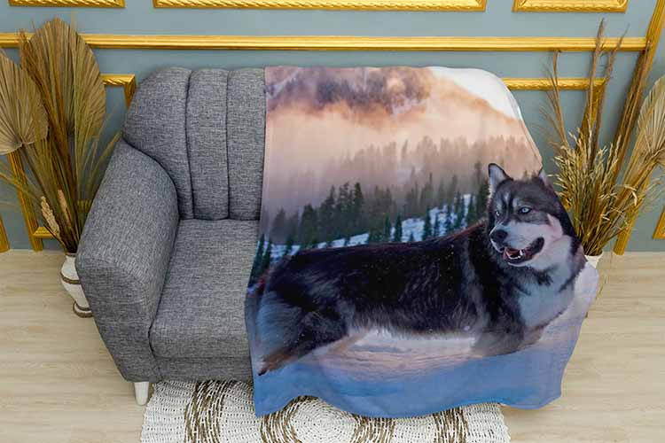 Плед «Хаскі взимку. Husky in winter»Плед «Хаскі взимку. Husky in winter»