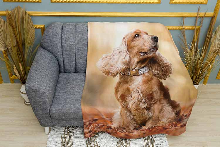 Плед «Кокер-спанієль восени. Cocker spaniel in autumn»