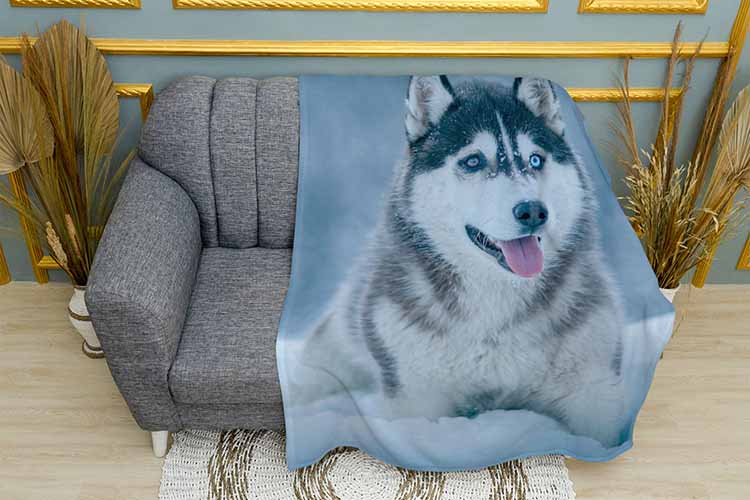 Плед «Маламут у снігу. Malamute in the snow»