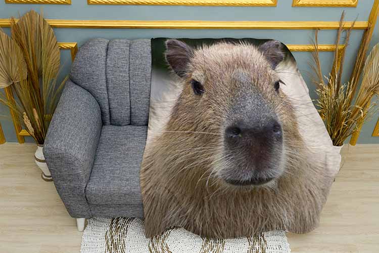Плед «Велика капібара. Large capybara»