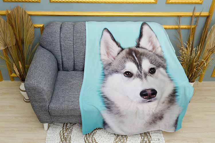 Плед «Великий маламут. Big malamute»