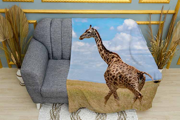 Плед «Жираф в Мадагаскарі. A giraffe in Madagascar»