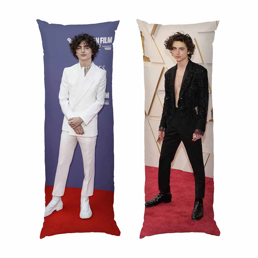 Тімоті Шаламе. Вонка. Timothee Chalamet. Vonka