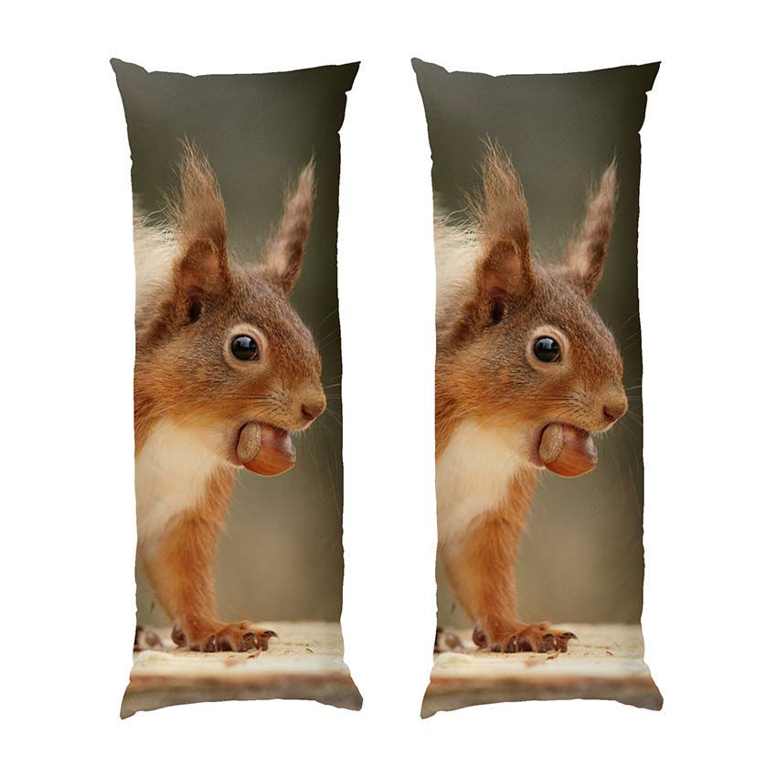 bilka-z-horikhom.-lis.-squirrel-with-nut.-forest.jpg