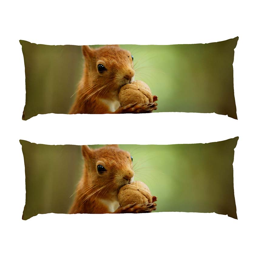 myla-bilka-z-horishkom.-lis.-cute-squirrel-with-a-nut.-forest.jpg