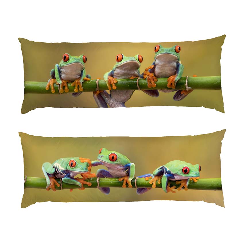smishni-zhabeniata-na-hiltsi.-funny-frogs-on-a-branch.jpg
