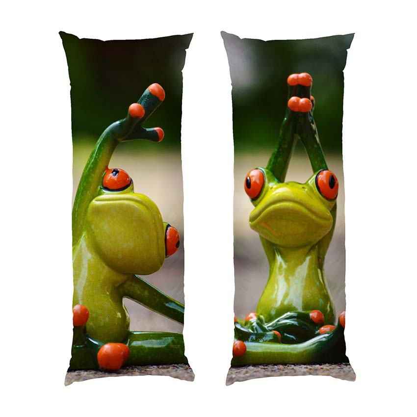 smishni-zhaby.-ioha.-funny-frogs.-yoga.jpg