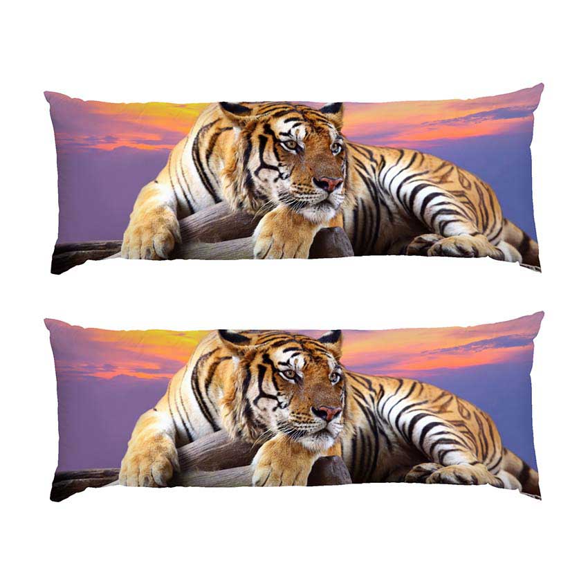 tyhr.-zakhid-sontsia.-tiger.-sunset.jpg