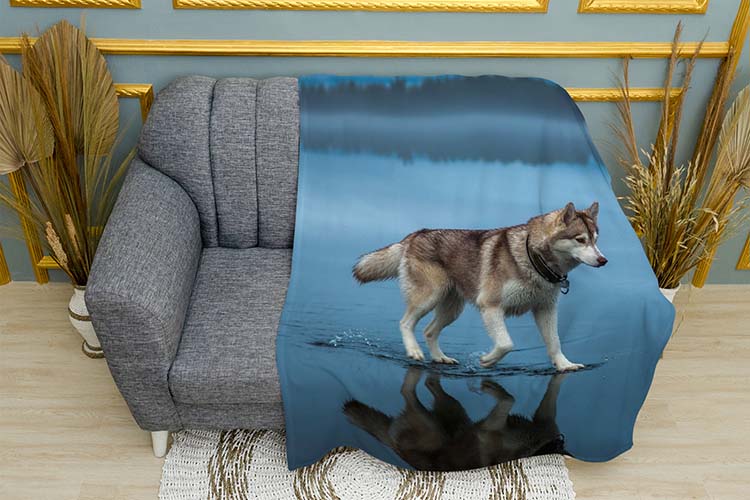 khaski.-prohulka-po-vodi.-husky.-a-walk-on-the-water.jpg