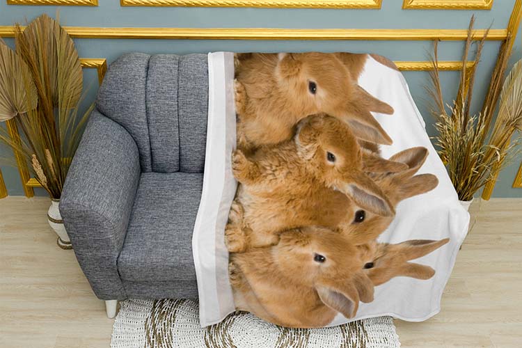 malenki-pukhnasti-krolyky.-little-fluffy-rabbits.jpg