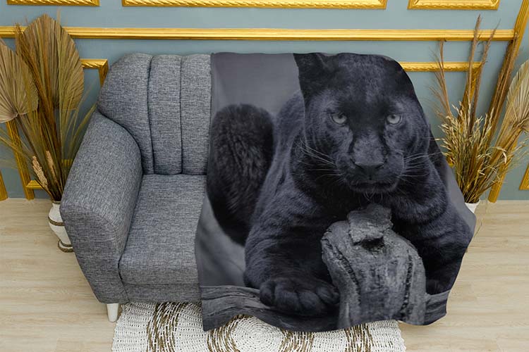 velyka-chorna-pantera.-big-black-panther.jpg