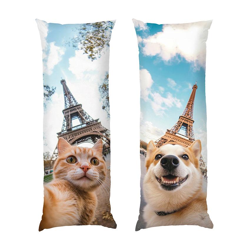 dakimakura-kit-ta-pes.-progulyanka-u-paryzhi.-cat-and-dog.-walk-in-paris.jpg