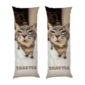 Дакімакура подушка для обіймів «Кіт Злабуба. Мем. Cat Zlabuba. Meme»