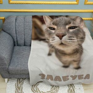 Плед «Кот Злабуба. Мем. Cat Zlabuba. Meme»